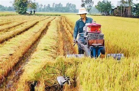 ASEAN và chính sách nông nghiệp