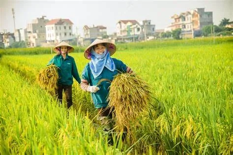 Nâng Cao Năng Lực Cạnh Tranh