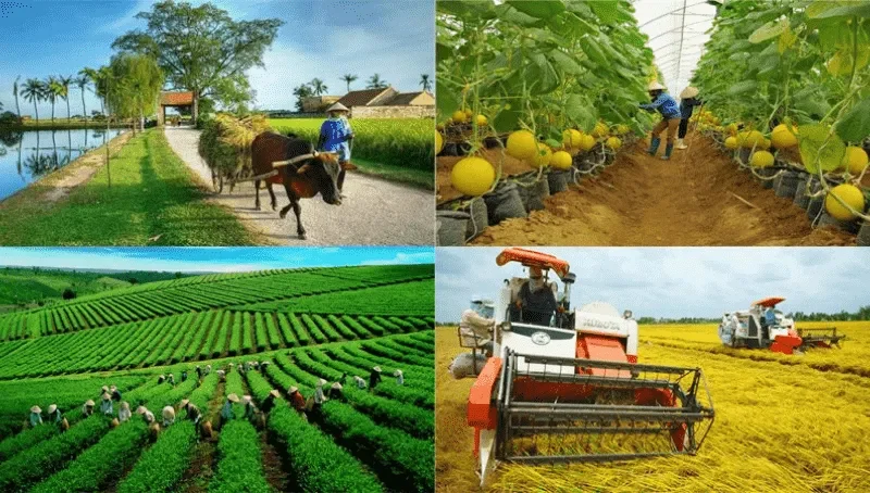 Tổng Quan Về Nông Nghiệp Trong ASEAN