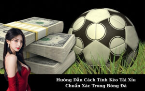 Hướng Dẫn Cách Tính Kèo Tài Xỉu Chuẩn Xác Trong Bóng Đá
