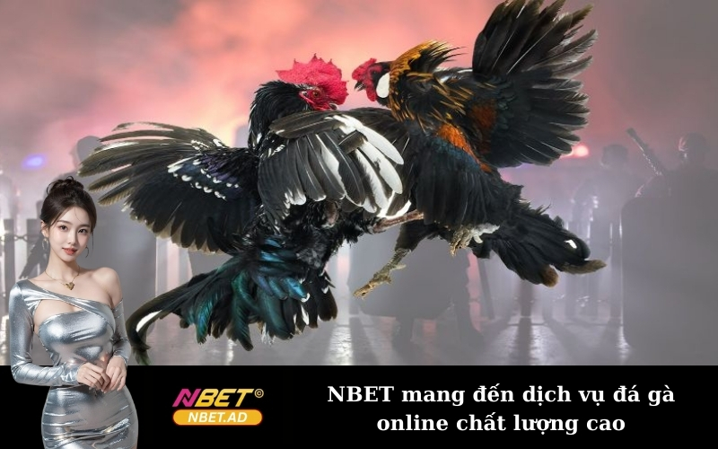NBET mang đến dịch vụ đá gà online chất lượng cao