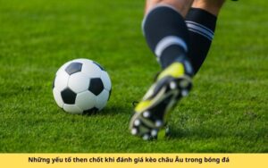 Những yếu tố then chốt khi đánh giá kèo châu Âu trong bóng đá